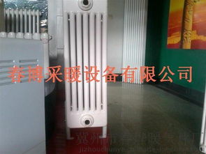 2015暢銷(xiāo)鋼制柱型散熱器圖片,2015暢銷(xiāo)鋼制柱型散熱器高清圖片 冀州市春燁暖氣片廠,